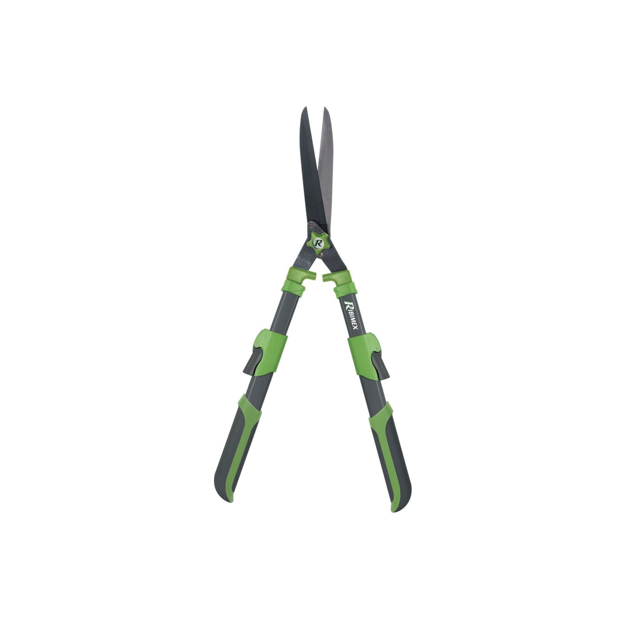 Tagliasiepe telescopico ribimex