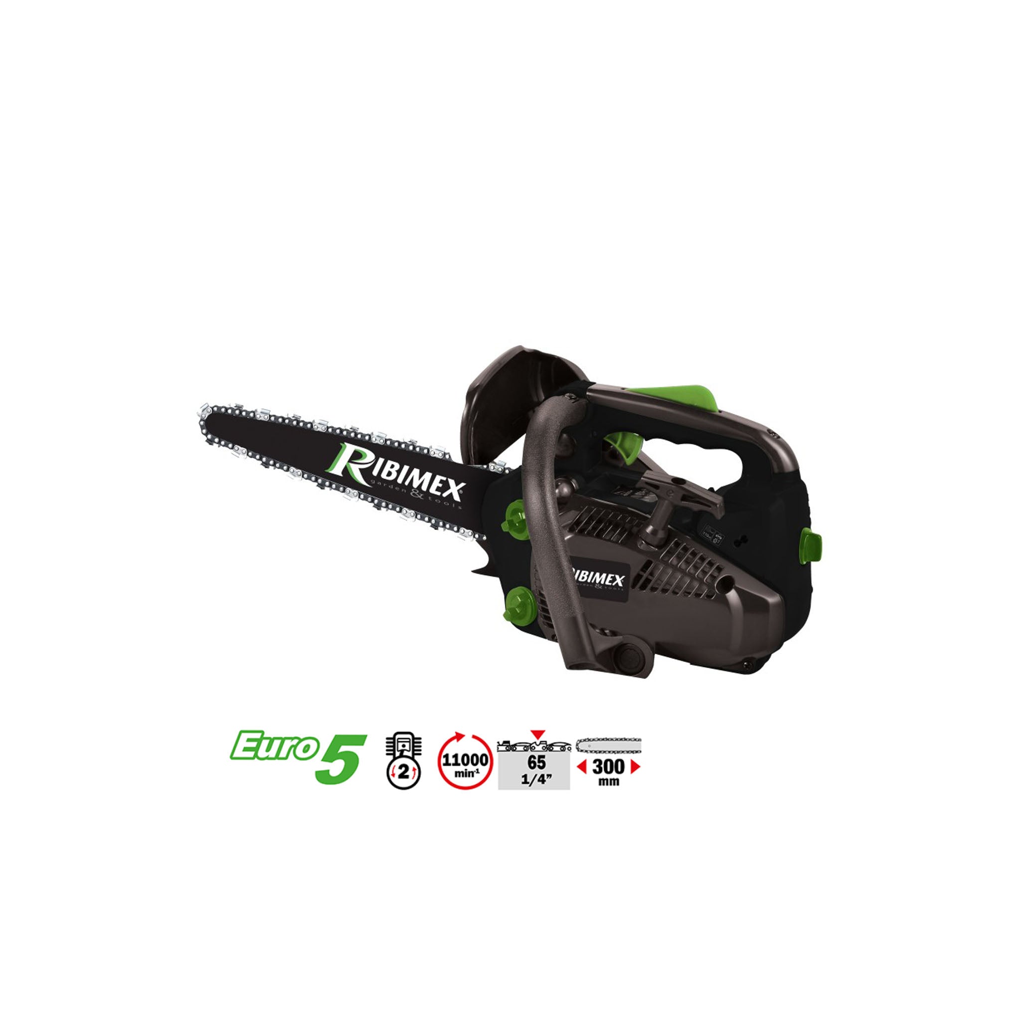 Motosega da Potatura Carving - Professionale